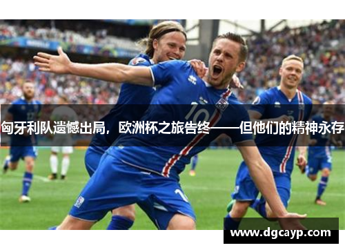 匈牙利队遗憾出局，欧洲杯之旅告终——但他们的精神永存