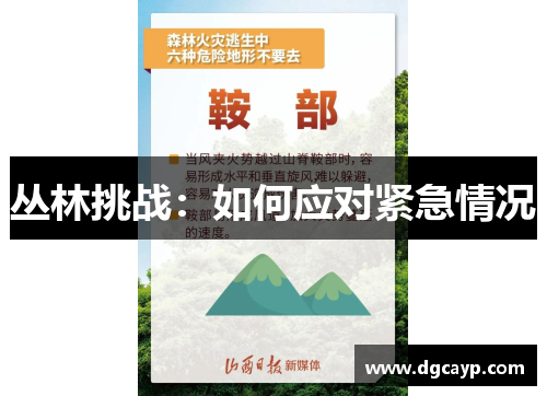 丛林挑战：如何应对紧急情况